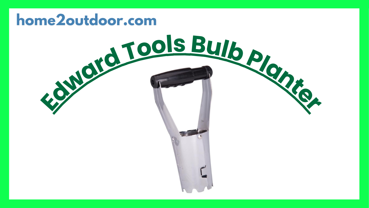 Read more about the article Edward Tools Bulb Planter