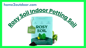 Read more about the article Rosy Soil Indoor Potting Soil for House Plants