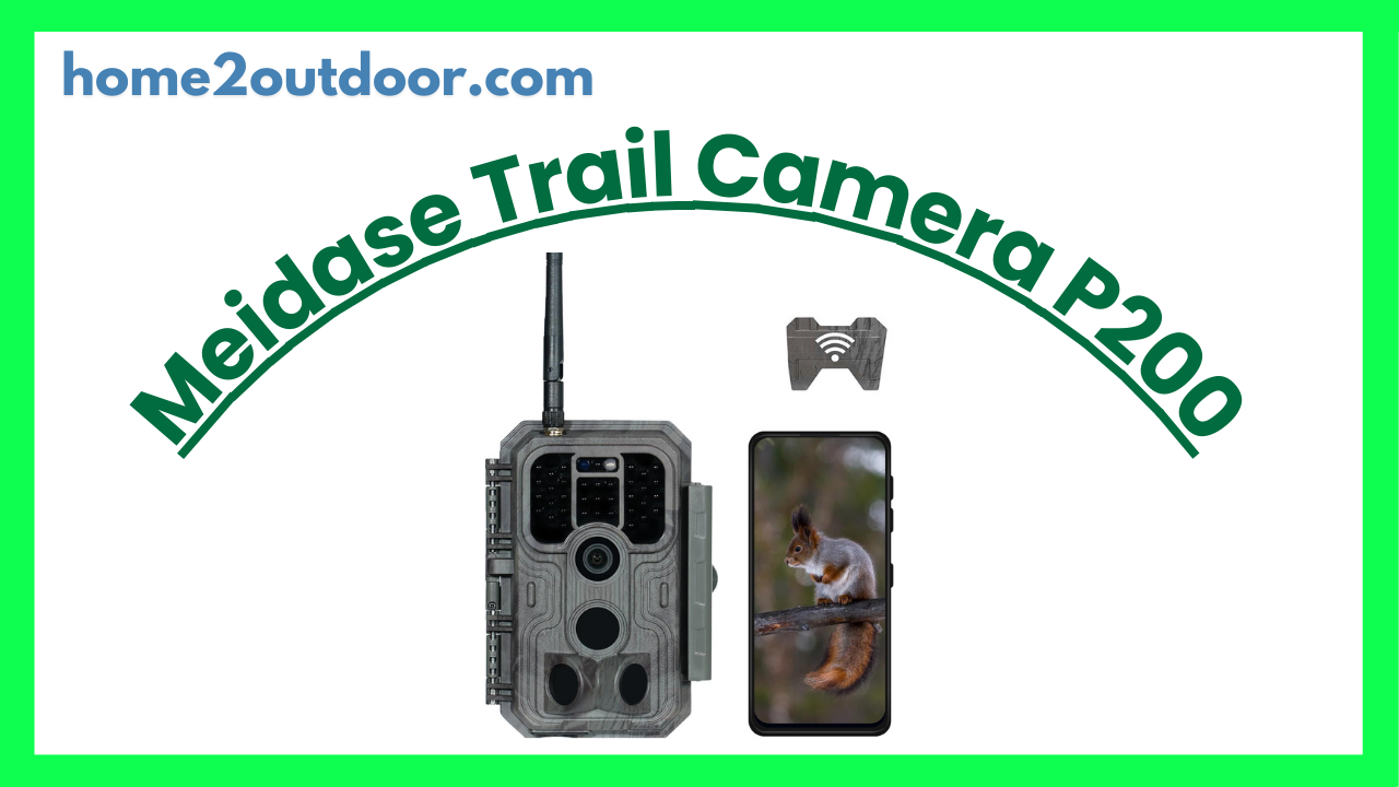 Read more about the article Meidase Trail Camera P200 Review