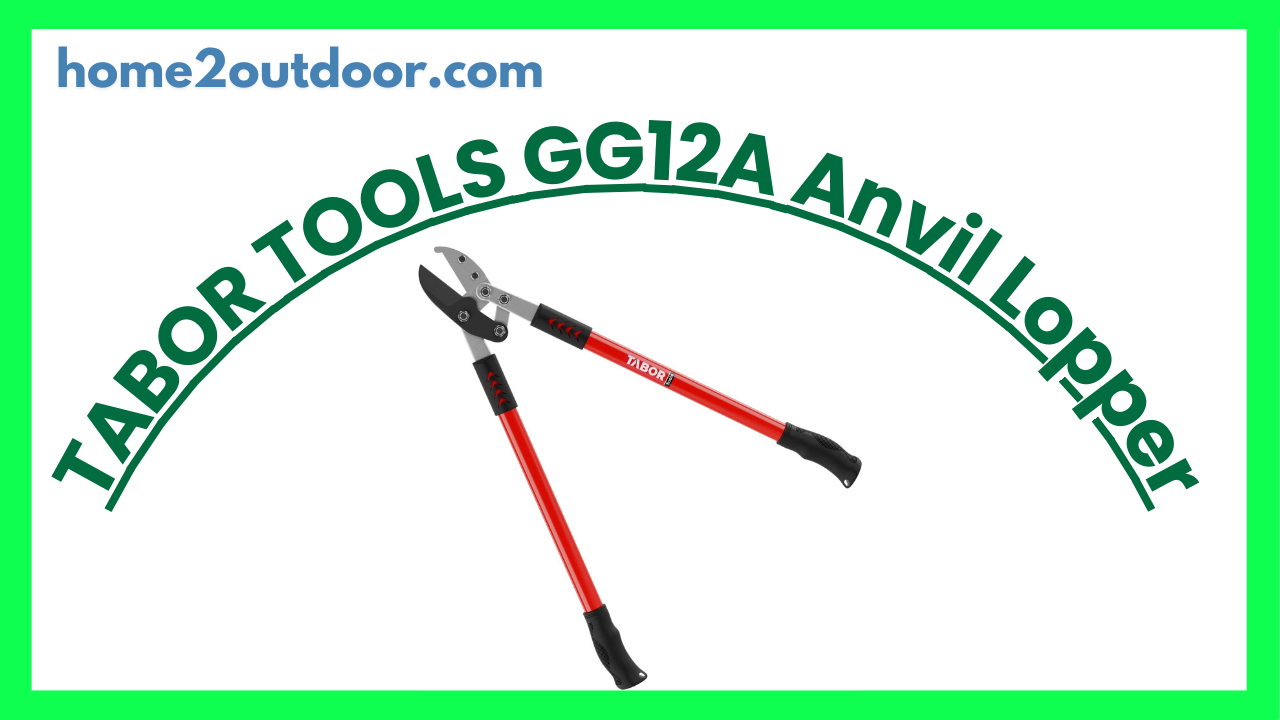 Read more about the article TABOR TOOLS GG12A Anvil Lopper