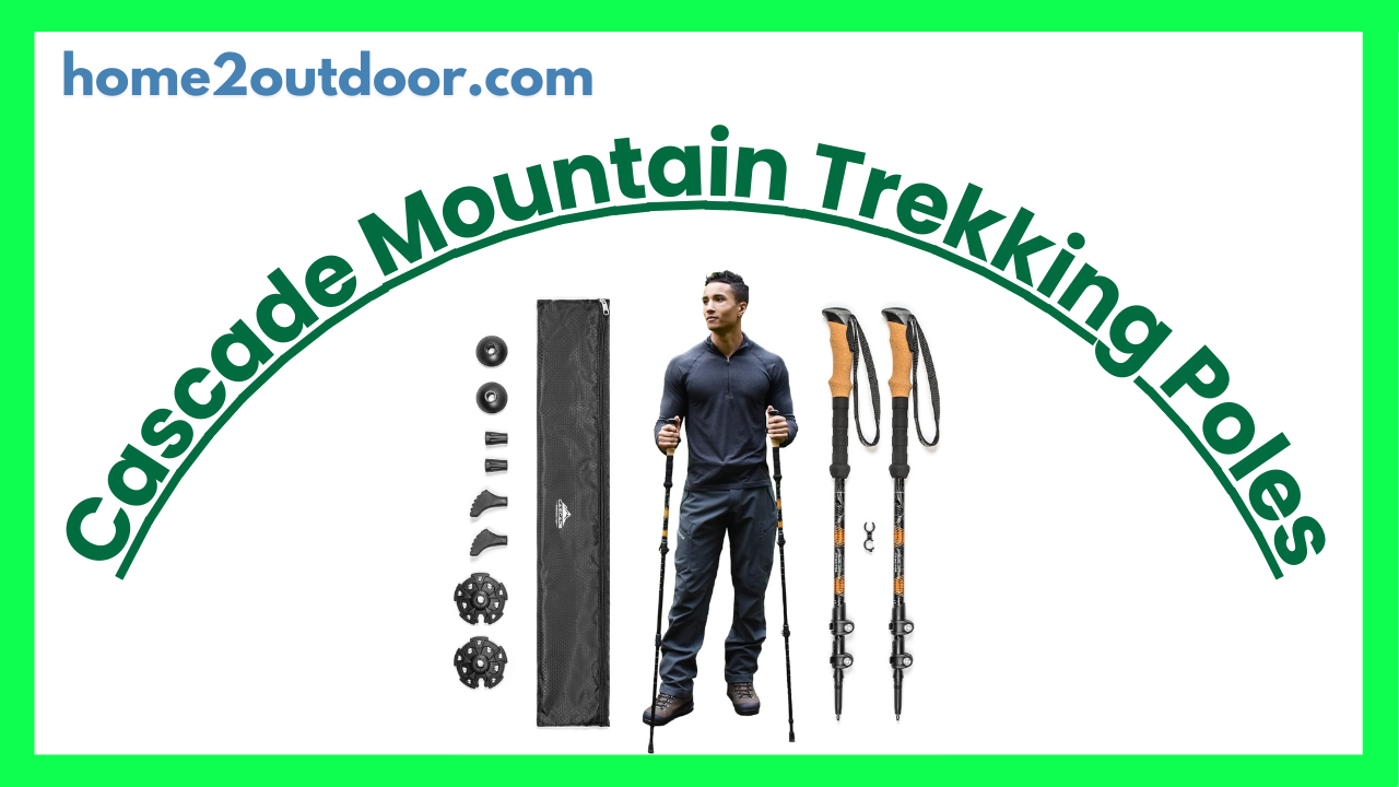 Read more about the article Cascade Mountain Tech Trekking Poles