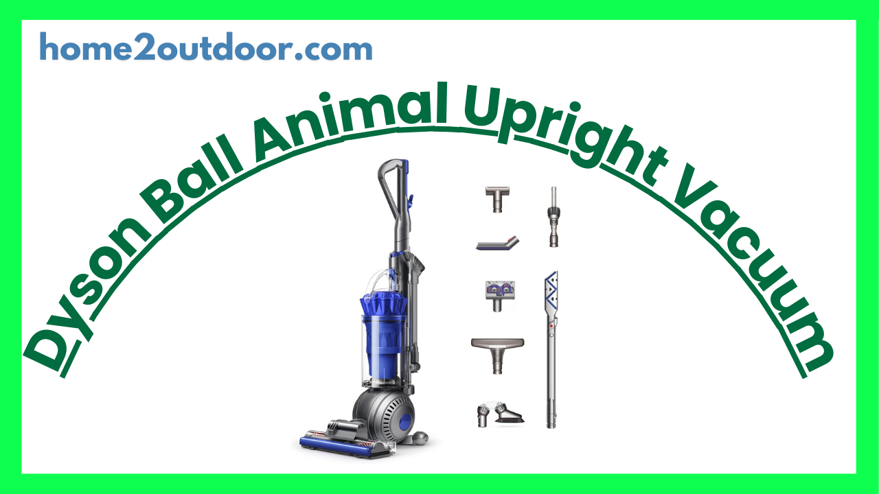 Read more about the article Dyson Ball Animal Total Clean Upright Vacuum