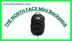 Read more about the article THE NORTH FACE Borealis Mini Backpack