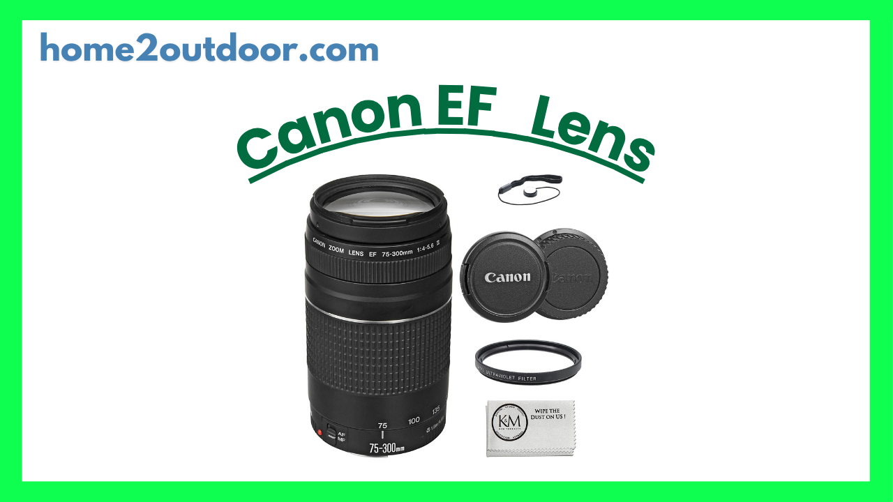 You are currently viewing Canon EF 75-300mm f/4-5.6 III Telephoto Zoom Lens